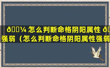 🐼 怎么判断命格阴阳属性 🐕 强弱（怎么判断命格阴阳属性强弱的方法）